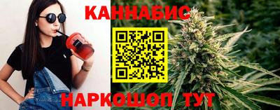 трава Гатчина