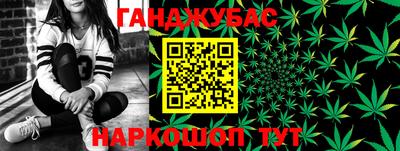 трава Гатчина