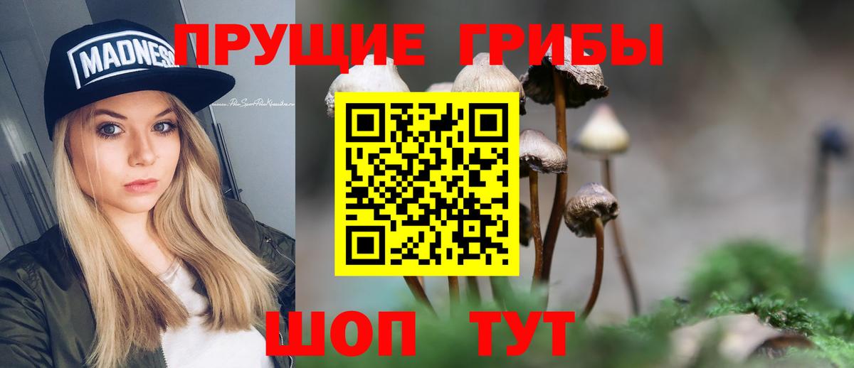 Отрадный  Псилоцибиновые грибы GOLDEN TEACHER  Вход с VPN 